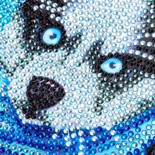 Cargar imagen en el visor de la galería, Kit Diamond Painting 5D con Diseño de Husky y Marco de Foto