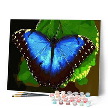 Cargar imagen en el visor de la galería, Pintar Por Números - Mariposa Azul - Figuredart - Animales Mariposas