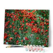 Cargar imagen en el visor de la galería, Pintar Por Números - Balsamine - Figuredart - Flores