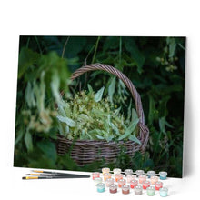 Cargar imagen en el visor de la galería, Pintar Por Números - Cesta De Flores - Figuredart - Flores
