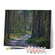 Cargar imagen en el visor de la galería, Pintar Por Números - Montaña - Figuredart - Montañas Paisajes
