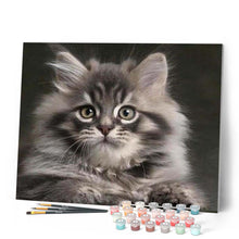 Cargar imagen en el visor de la galería, Pintar Por Números - Gato Pequeño - Figuredart - Animales Gatos