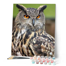 Cargar imagen en el visor de la galería, Pintar Por Números - Búho Con Ojos Naranjas - Figuredart - Animales Búhos