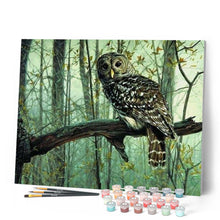 Cargar imagen en el visor de la galería, Pintar Por Números - Búho - Figuredart - Animales Búhos