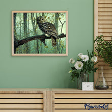 Cargar imagen en el visor de la galería, Pintar Por Números - Búho - Figuredart - Animales Búhos