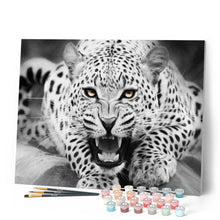 Cargar imagen en el visor de la galería, Pintar Por Números - Leopardo Blanco Y Negro Yace En El Suelo - Figuredart - Animales