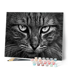 Cargar imagen en el visor de la galería, Pintar Por Números - Cabeza De Gato - Figuredart - Animales Gatos