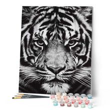 Cargar imagen en el visor de la galería, Pintar Por Números - Cabeza De Tigre Blanco Y Negro - Figuredart - Animales Tigres