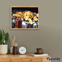 Cargar imagen en el visor de la galería, Pintar Por Números - Perro Perezoso - Figuredart - Animales Perros