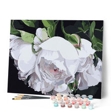 Cargar imagen en el visor de la galería, Pintar Por Números - Flores Blancas 2 - Figuredart - Flores