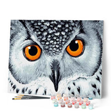 Cargar imagen en el visor de la galería, Pintar Por Números - Búho Ojos Naranjas - Figuredart - Animales Búhos