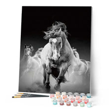 Cargar imagen en el visor de la galería, Pintar Por Números - Caballo De Cara - Figuredart - Animales Caballos