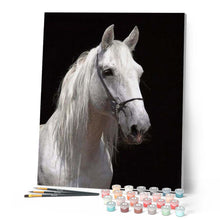 Cargar imagen en el visor de la galería, Pintar Por Números - Caballo Blanco 3 - Figuredart - Animales Caballos