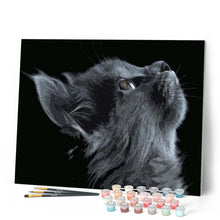 Cargar imagen en el visor de la galería, Pintar Por Números - Gato Negro Y Gris - Figuredart - Animales Gatos