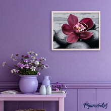 Cargar imagen en el visor de la galería, Pintar Por Números - Flor De Piedra - Figuredart - Flores