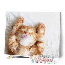 Cargar imagen en el visor de la galería, Pintar Por Números - Siesta Del Gato - Figuredart - Animales Gatos