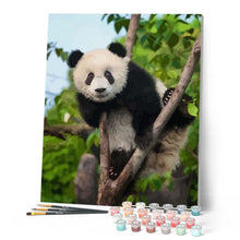 Cargar imagen en el visor de la galería, Pintar Por Números - Panda En El Árbol - Figuredart - Animales Pandas Árboles