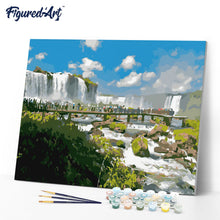 Cargar imagen en el visor de la galería, Grandes cascadas y río