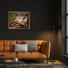 Cargar imagen en el visor de la galería, Pintar Por Números - Búho Mirada - Figuredart - Animales Búhos Novedades