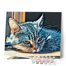 Cargar imagen en el visor de la galería, Pintar Por Números - Gato Durmiendo La Siesta - Figuredart - Animales Novedades