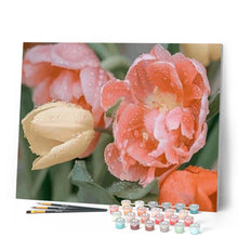 Cargar imagen en el visor de la galería, Pintar Por Números - Gotas De Rocío Tulipán - Figuredart - Flores Novedades