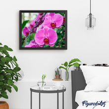Cargar imagen en el visor de la galería, Pintar Por Números - Phalaenopsis - Figuredart - Flores Novedades