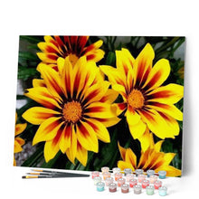 Cargar imagen en el visor de la galería, Pintar Por Números - Flores Amarillas - Figuredart - Flores