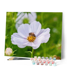 Cargar imagen en el visor de la galería, Pintar Por Números - Flores De Abejas - Figuredart - Flores