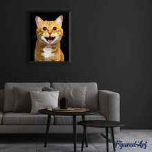 Cargar imagen en el visor de la galería, Hola Gato