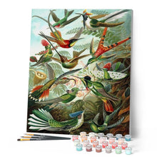 Cargar imagen en el visor de la galería, Pintar Por Números - Todos Los Pájaros - Figuredart - Animales, Avanzado, Novedades, Pájaros