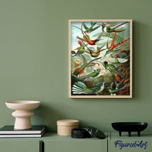 Cargar imagen en el visor de la galería, Pintar Por Números - Todos Los Pájaros - Figuredart - Animales, Avanzado, Novedades, Pájaros