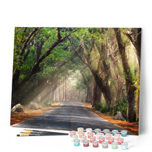 Cargar imagen en el visor de la galería, Luz debajo del camino