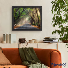 Cargar imagen en el visor de la galería, Luz debajo del camino