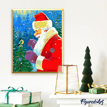 Cargar imagen en el visor de la galería, Santa Claus y su pájaro