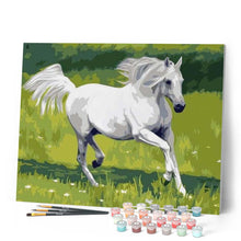 Cargar imagen en el visor de la galería, Pintar Por Números - Caballo Blanco - Figuredart - Animales Caballos