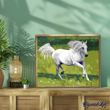 Cargar imagen en el visor de la galería, Pintar Por Números - Caballo Blanco - Figuredart - Animales Caballos