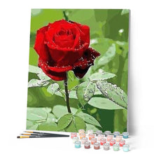 Cargar imagen en el visor de la galería, Pintar Por Números - Crema De La Cosecha - Figuredart - Flores