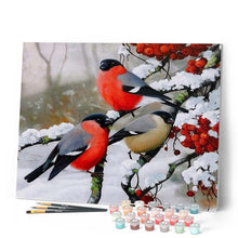 Cargar imagen en el visor de la galería, Pintar por números | Rouge Gorge en la nieve | Novedades Animales Pájaros Invierno Avanzado | FiguredArt