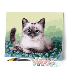 Cargar imagen en el visor de la galería, Pintar Por Números - Gato - Figuredart - Animales Gatos