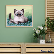 Cargar imagen en el visor de la galería, Pintar Por Números - Gato - Figuredart - Animales Gatos