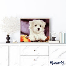 Cargar imagen en el visor de la galería, Pintar Por Números - Perro Pequeño - Figuredart - Animales Perros