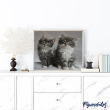 Cargar imagen en el visor de la galería, Pintar Por Números - Pelo Corto - Figuredart - Animales