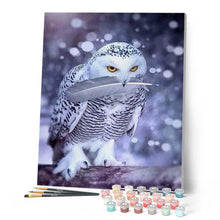 Cargar imagen en el visor de la galería, Pintar Por Números - Búho Blanco - Figuredart - Animales Búhos