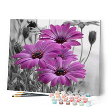 Cargar imagen en el visor de la galería, Pintar Por Números - Gerbera - Figuredart - Flores