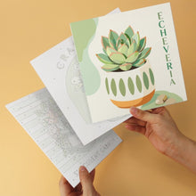Cargar imagen en el visor de la galería, Mini Serie Pintar por Números 20x20cm (6 piezas) - Jardín de suculentas