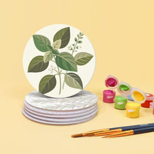 Cargar imagen en el visor de la galería, Pintar por números Posavasos 10cm (6 piezas) - Hierbas Aromáticas