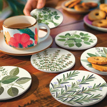 Cargar imagen en el visor de la galería, Pintar por números Posavasos 10cm (6 piezas) - Hierbas Aromáticas