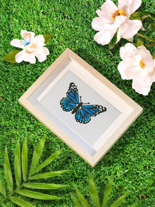 Mini Serie Diamond Painting - Mariposas 2