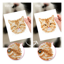 Cargar imagen en el visor de la galería, Mini Diamond Painting 15x20cm (4 piezas) - Amigos Felinos