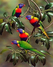 Cargar imagen en el visor de la galería, Punto De Cruz Diamante - Punto De Cruz Diamante - Loros En Una Rama - Figuredart - Loros Mascotas Punto De Cruz Diamante Animales Pájaros